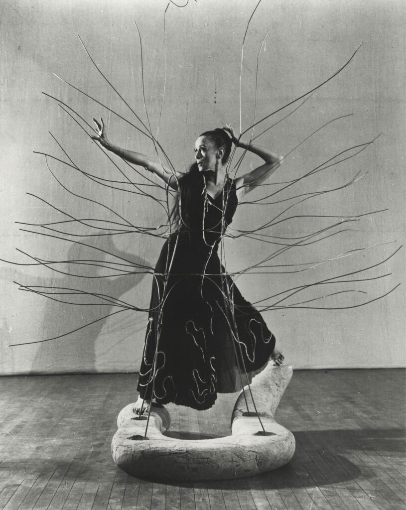 19 janvier à La Roche sur Yon – Corps, entre danse et arts visuels